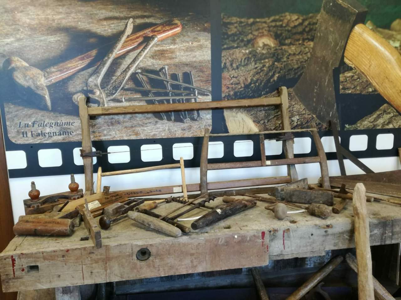 museo